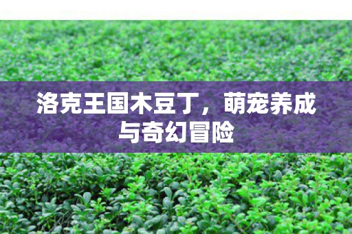 洛克王国木豆丁，萌宠养成与奇幻冒险