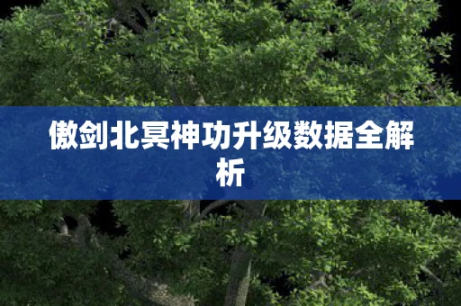 傲剑北冥神功升级数据全解析