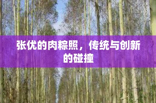 张优的肉粽照，传统与创新的碰撞