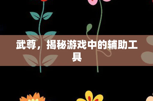 武尊，揭秘游戏中的辅助工具