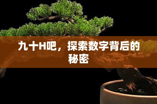 九十H吧，探索数字背后的秘密