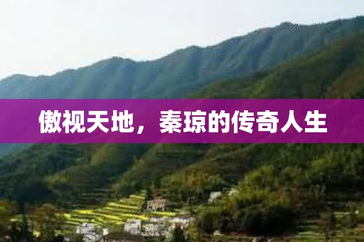 傲视天地，秦琼的传奇人生