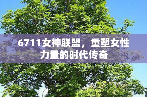 6711女神联盟，重塑女性力量的时代传奇