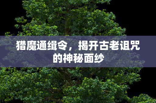 猎魔通缉令，揭开古老诅咒的神秘面纱