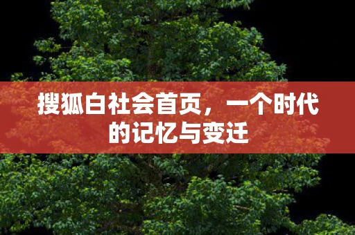 搜狐白社会首页，一个时代的记忆与变迁