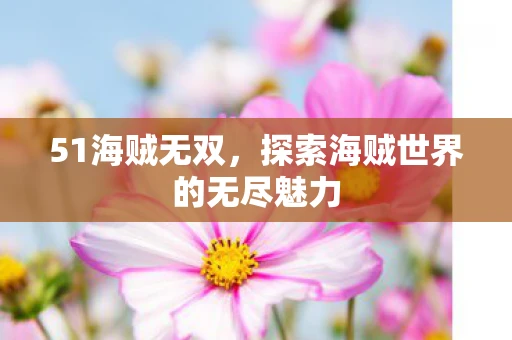 51海贼无双，探索海贼世界的无尽魅力