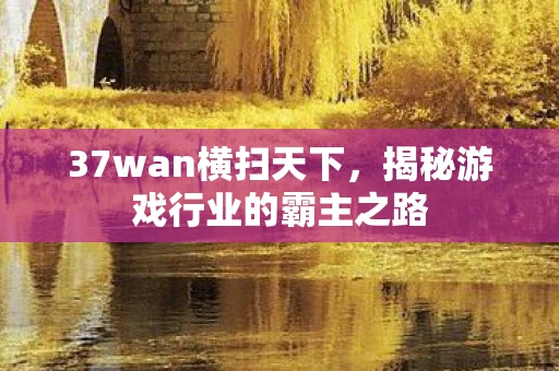 37wan横扫天下，揭秘游戏行业的霸主之路