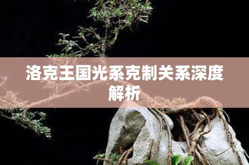 洛克王国光系克制关系深度解析图片