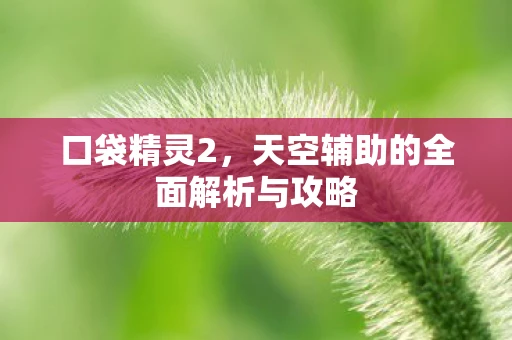 口袋精灵2，天空辅助的全面解析与攻略