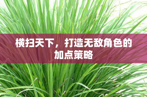 横扫天下，打造无敌角色的加点策略