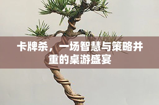 卡牌杀，一场智慧与策略并重的桌游盛宴