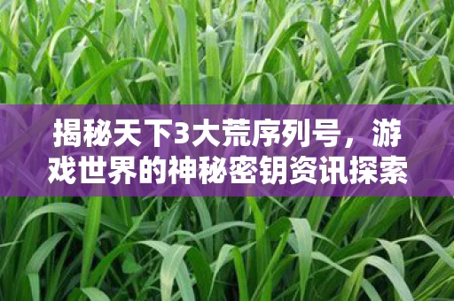游戏世界的神秘密钥资讯探索图片