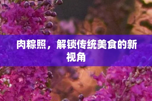 肉粽照，解锁传统美食的新视角