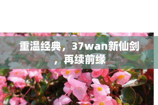 重温经典，37wan新仙剑，再续前缘