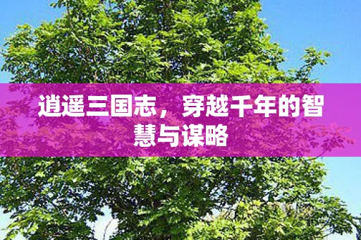 逍遥三国志，穿越千年的智慧与谋略