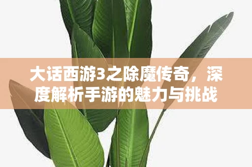 深度解析手游的魅力与挑战图片