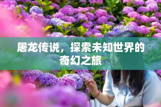 屠龙传说，探索未知世界的奇幻之旅