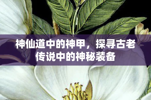 神仙道中的神甲，探寻古老传说中的神秘装备