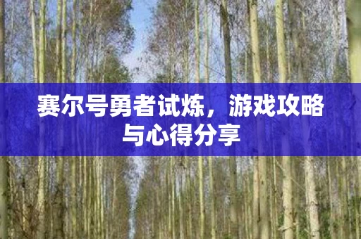 游戏攻略与心得分享图片