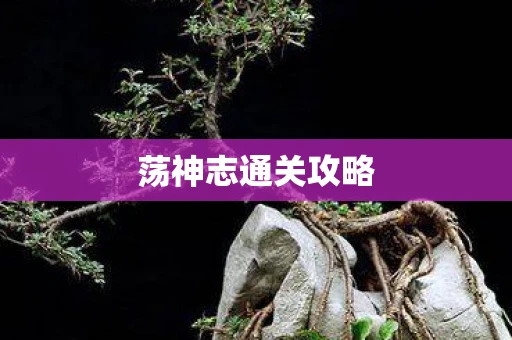 荡神志通关攻略