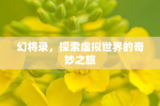 幻将录，探索虚拟世界的奇妙之旅