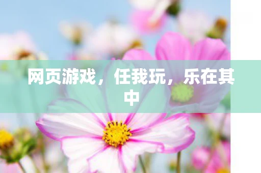 网页游戏，任我玩，乐在其中