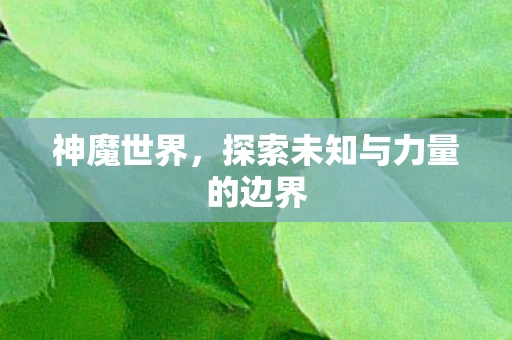 神魔世界，探索未知与力量的边界