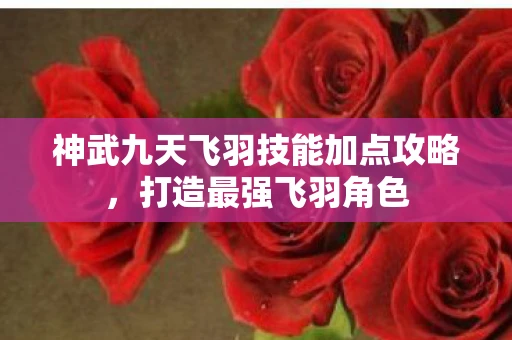 神武九天飞羽技能加点攻略，打造最强飞羽角色