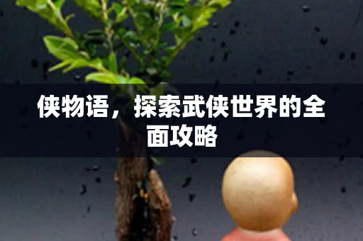 侠物语，探索武侠世界的全面攻略