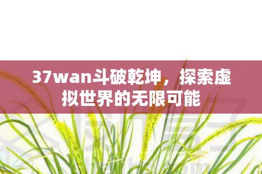 37wan斗破乾坤，探索虚拟世界的无限可能
