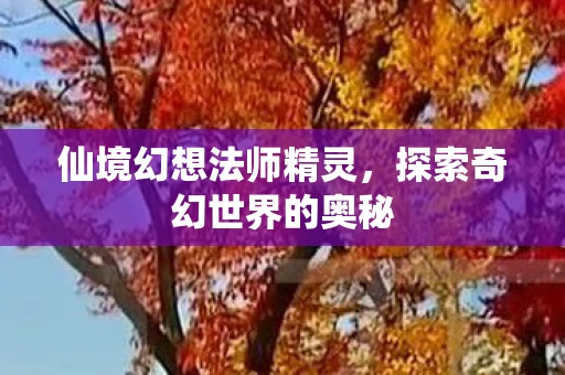 仙境幻想法师精灵，探索奇幻世界的奥秘