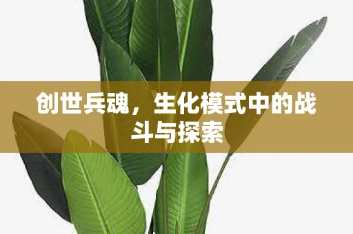创世兵魂，生化模式中的战斗与探索