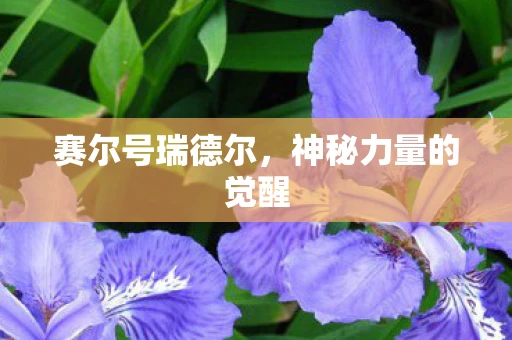 赛尔号瑞德尔，神秘力量的觉醒