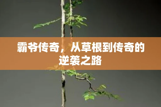 霸爷传奇，从草根到传奇的逆袭之路