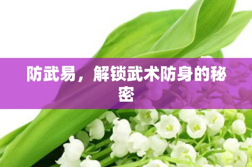防武易，解锁武术防身的秘密