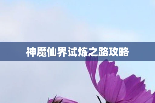 神魔仙界试炼之路攻略