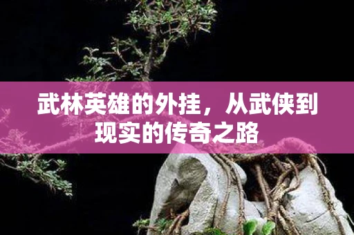 武林英雄的外挂，从武侠到现实的传奇之路
