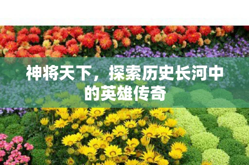神将天下，探索历史长河中的英雄传奇