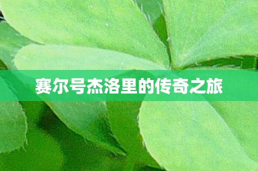 赛尔号杰洛里的传奇之旅