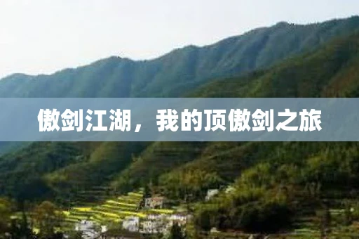 傲剑江湖，我的顶傲剑之旅