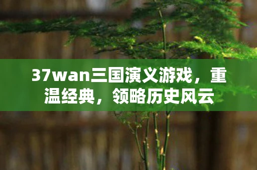 37wan三国演义游戏，重温经典，领略历史风云