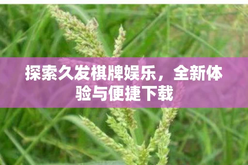 全新体验与便捷下载图片