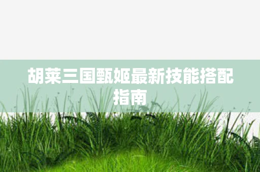 胡莱三国甄姬最新技能搭配指南