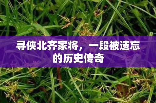 寻侠北齐家将，一段被遗忘的历史传奇