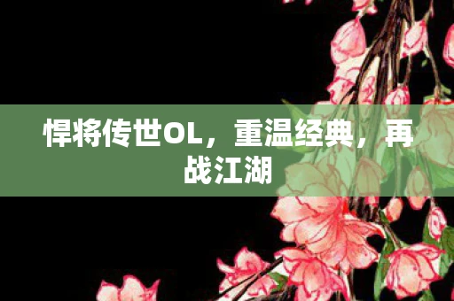 悍将传世OL，重温经典，再战江湖
