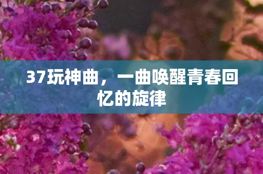 37玩神曲，一曲唤醒青春回忆的旋律