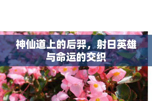 神仙道上的后羿，射日英雄与命运的交织