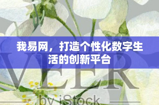 我易网，打造个性化数字生活的创新平台