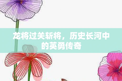 龙将过关斩将，历史长河中的英勇传奇