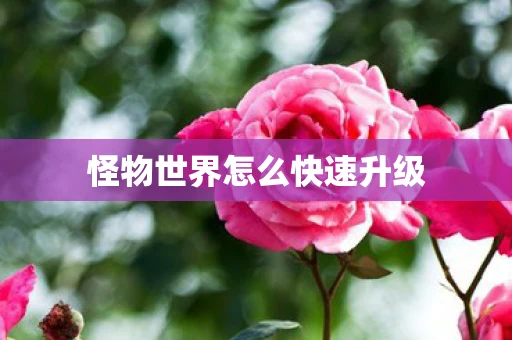 怪物世界怎么快速升级